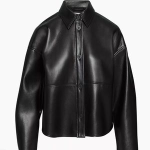 Aritzia leather jacket